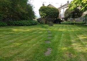 Lawn - click for photo gallery